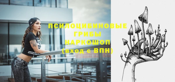 apvp Зерноград